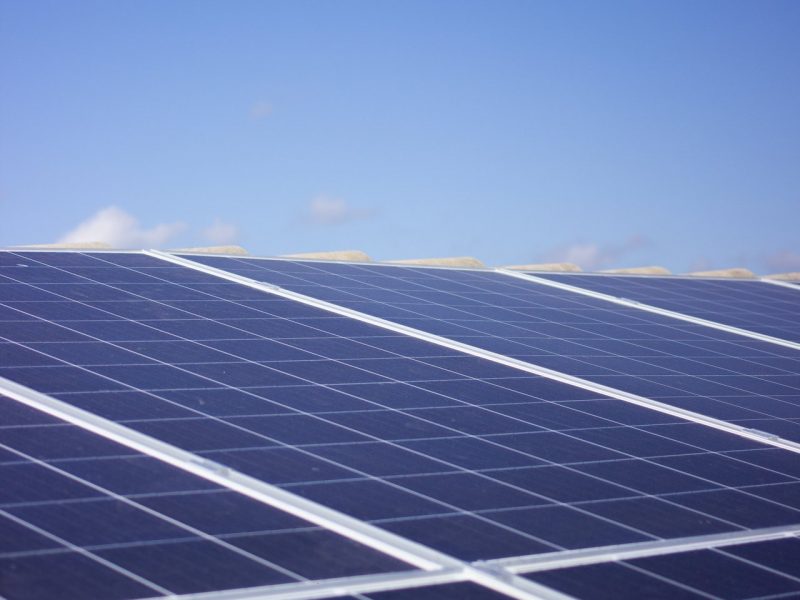 Selfa sklep – dobre miejsce na zakupy?